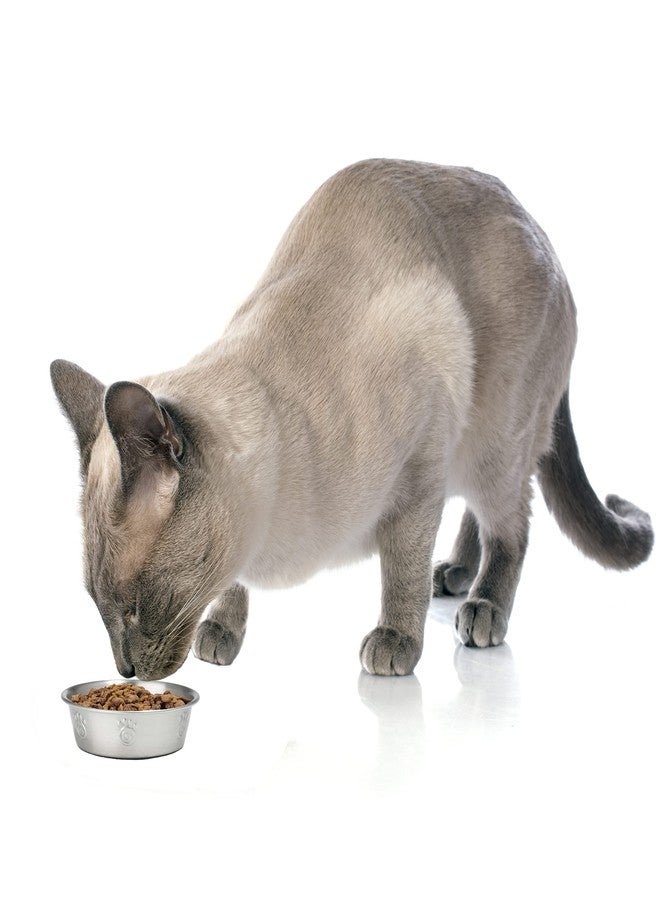 PetRageous 60046 Cayman Classic Non-Skid Stainless-Steel Dishwasher Safe Bowl 1-Cup Capacity 4.5-Inch Diameter 1.5-Inch Tall for Small Dogs and Cats of Any Size, Metallic - Image 4